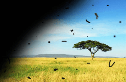 Desprendimiento de Retina: síntomas, causas y tratamiento